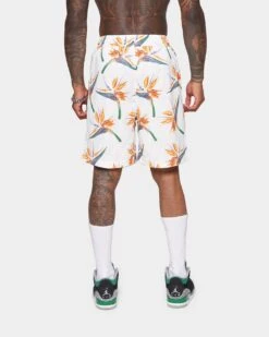 XXIII Kansbar Shorts Multi -Fashion Clothing Store 03008979 YM041 mens 0060