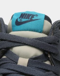 Nike Kids' Dunk High Light Bone/Blue -Fashion Clothing Store 196154798914 default 0070